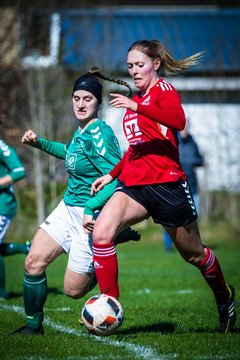 Bild 827 - F SG NieBar - IF Stjernen Flensborg : Ergebnis: 4:1